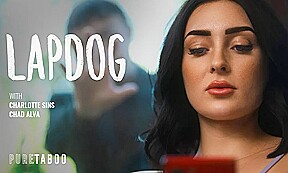 Lapdog