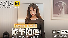The Sexy Mechanic MMZ-036 / 修车艳遇 MMZ-036 - ModelMediaAsia