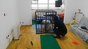 Chinese Caged