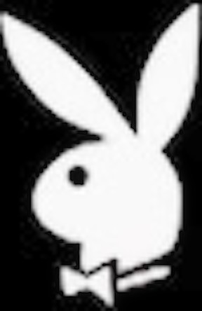 Playboy Muses - PlayboyTV