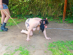 Pig Slut Training - MaryBitch